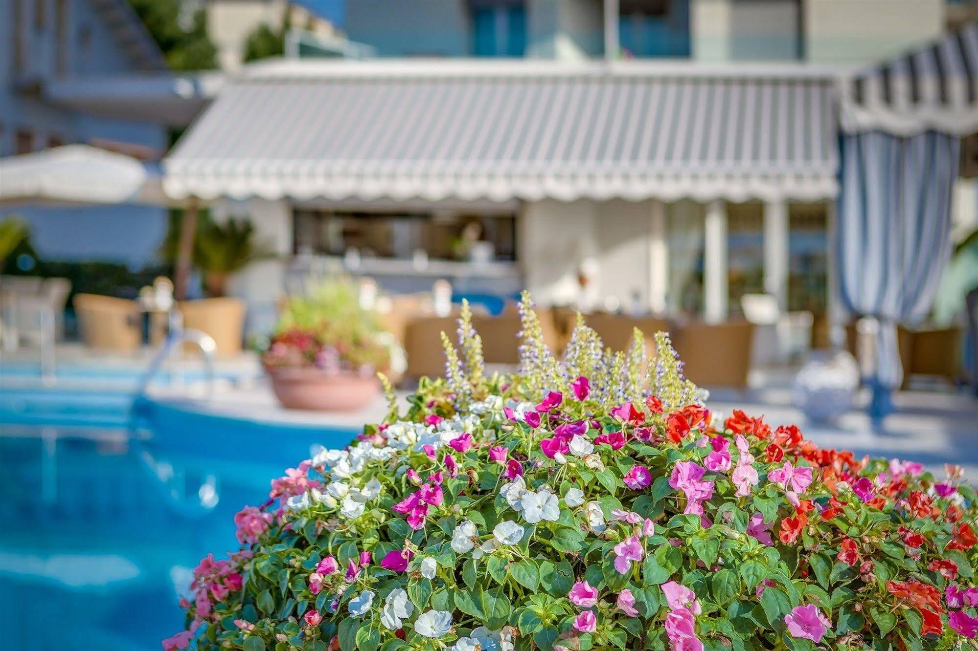 Hotel Delle Mimose Lido di Jesolo Dış mekan fotoğraf